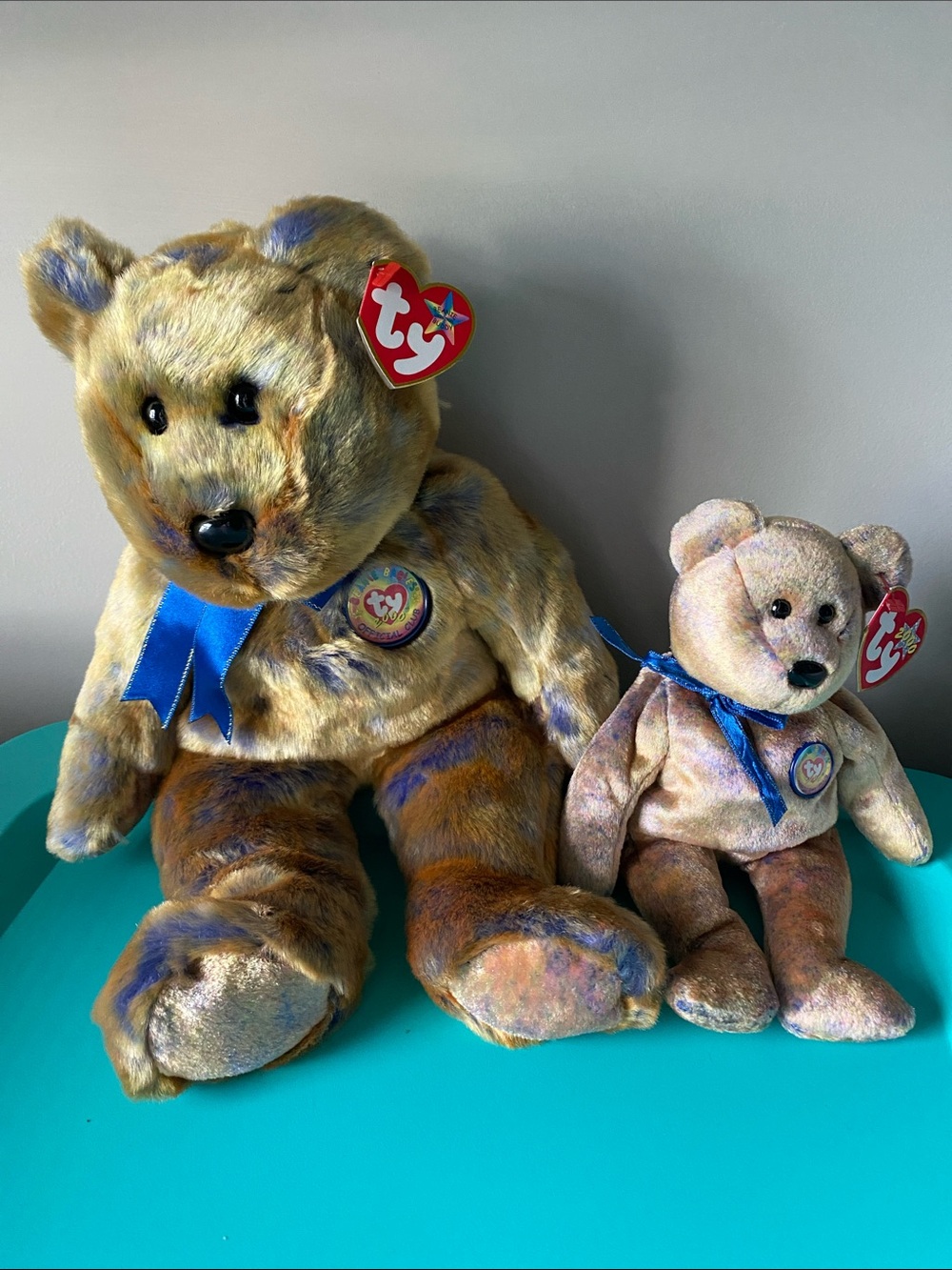 TY Beanie Baby 2000 Official Club Bear Set